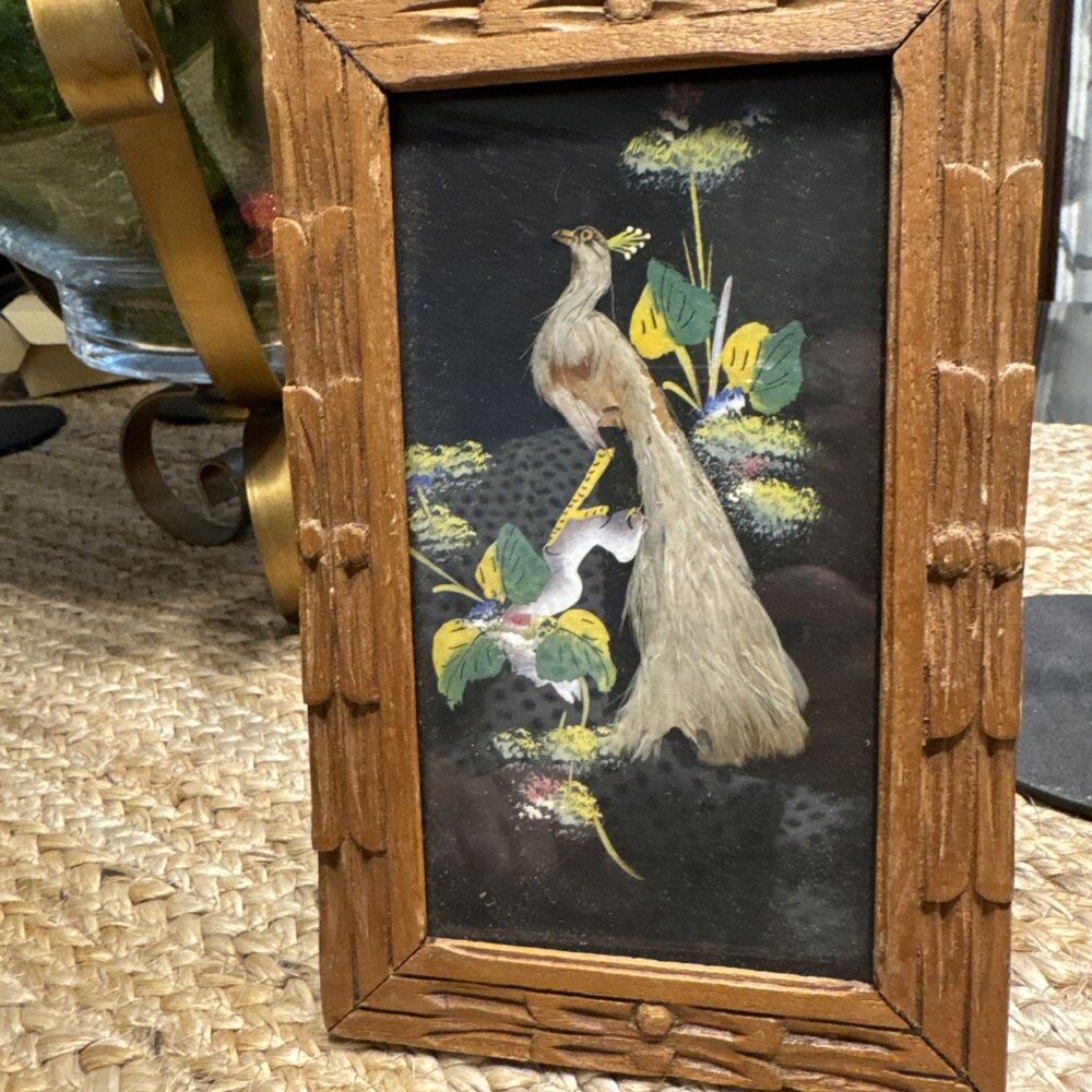 1950s Mexican Exotic Feather Birds Signed Art w/ Hand Carved frame Vintage